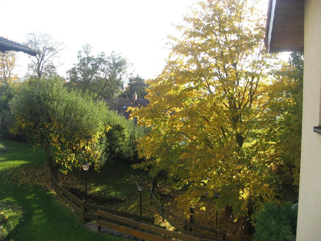 Hotel Landhaus Silbertanne Rotenburg an der Fulda Dış mekan fotoğraf
